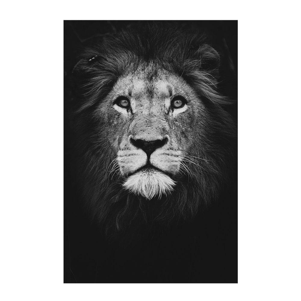Тигр Леопард Голова Льва Животные Холст Стена Черно-белое Искусство В Темноте Поп Прохладное Искусство Современная Живопись Домашние Картины Украшения Плакаты Принты