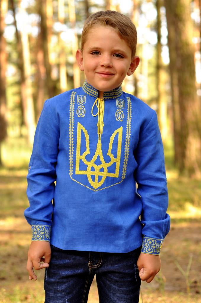 Этническая детская Сорочка с вышивкой с длинным рукавом, Украинская рубашка с вышивкой, Народная вышиванка для мальчика из натурального льна