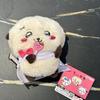 White Day Racco Doll