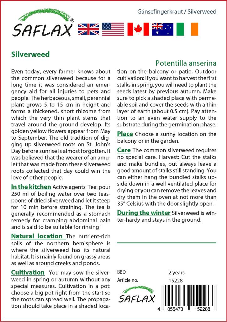 SAFLAX Garden in the Bag - Лапчатка гусиная - 20 семян - С субстратом в подходящем пакете-стойке - Лапчатка гусиная