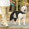 Dog Knee Braces dog leg brace for torn acl arthrosis support for dogs elbow hygroma protector Breatheable Fabric Stable Velcro