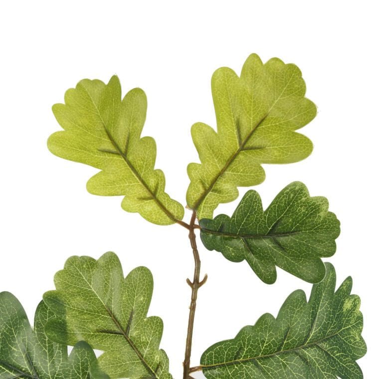 Oak leaf sprig 60 CM