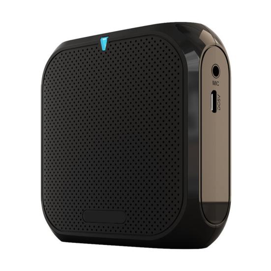 Портативный беспроводной усилитель голоса для учителей, совещаний, экскурсоводов, перезаряжаемая PA-система, динамик, персональный усилитель, мегафон с клипсой для крепления сзади