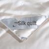 Youmeng Jiaju Premium Golden Mulberry Silk Quilt