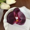 Thai Style Orchid Flower Hairpin Sweet Women Side Clip Butterfly Orchid Hair Clip  Beach