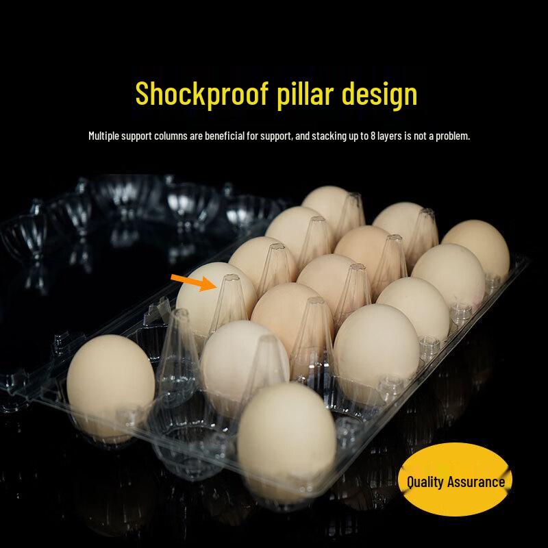 Yudu Transparent Plastic Egg Cartons