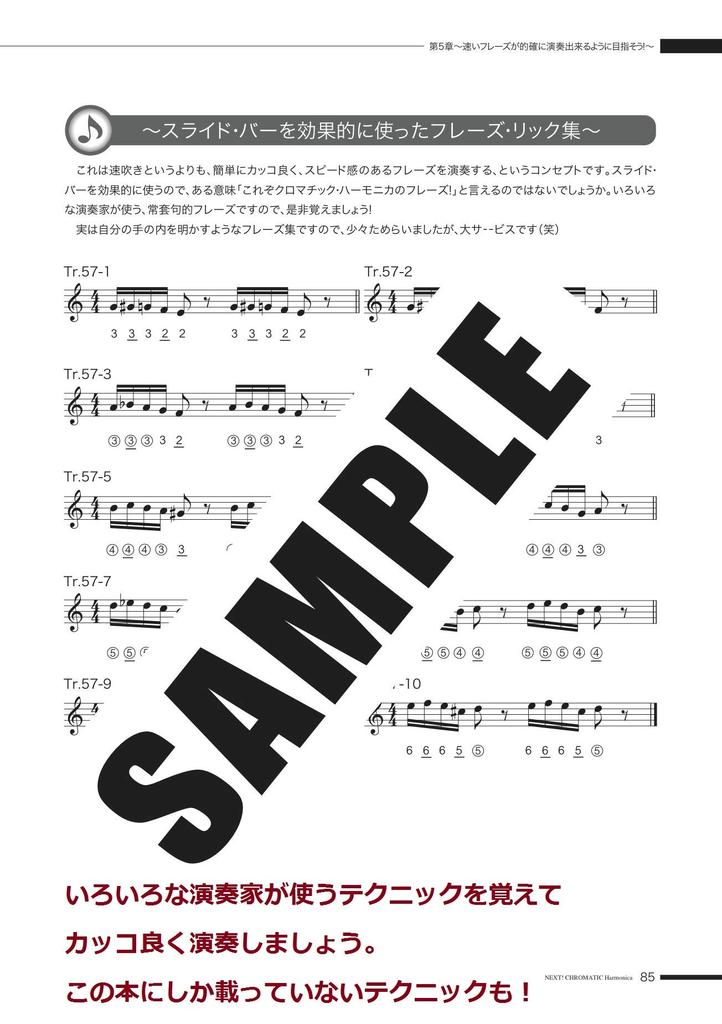 Suzuki Suzuki Harmonica Textbook 2 Chromatic Harmonica All Phrases and Songs Professionally Performed CD Included For At (with CDs) NEXT! Self-study