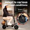 iScooter Electric Scooter F2 Adult Shopping Scooter 500W 30km/h Max Load 120KG 10 Inch Folding Light Weight with Seat and Basket