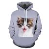 Новая мужская толстовка с капюшоном 3D Pet Cat Print Graphic Pullover Couple Sweatshirt Casual Fashion Womens Street Plus Size Sudaderas