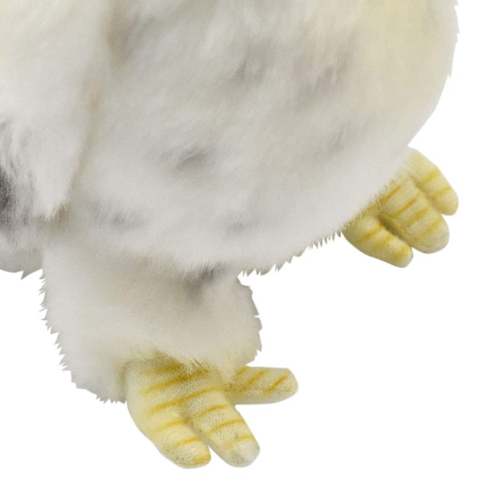 BH6155 HANSA Белая сова 18