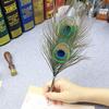 Creative Stationery Peacock Feather Writing Tools Feather Pen Ballpoint Pen Signature Fountain Pen