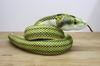 Take Off Japanese Rat Snake