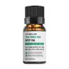 Tea Tree 100 Acne Spot Oil 10ml