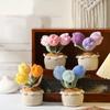Finished Handmade Woven Tulip Potted Home Decoration, Knitted Simulation Flower Yarn Hook, Woven Chubby Tulip