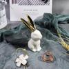 Декор для дома Статуэтки кроликов, 1 пара, Маленькие декоративные акценты для полок, гостиной и спальни, Золотой и белый (2 шт. Милый кролик)