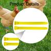 100 Pieces Chicken Leg Bands Poultry Identification Tags Rings for Bantam