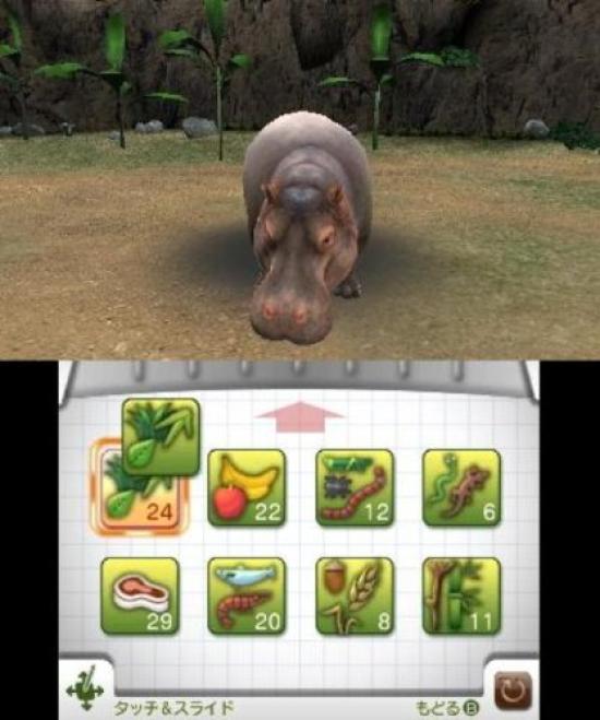 Животные Построй 3DS Курорт Let's Zoo!! -