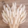 60pcs Mix Bunny Rabbit Tails Grass Dried Flowers Bouquet Boho Home Decor Natural Lagurus Ovatus Pampas Floral Wedding Decoration