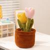 Тюльпаны Розы Цветы персика Цветы лотоса Плюшевое горшечное растение Игрушка для детей Подарок