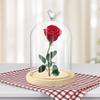 Clear Glass Cover Display Cloche Dome With Wooden Base Empty Immortal Flower Glass Cover