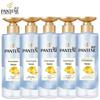 Pantene Purifying & Energizing Scalp Shampoo