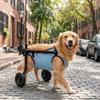 Adjustable Dog Wheelchair Comfortable Rehabilitation Walking Assistant  Pets Rehabilitation