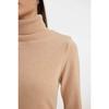 Regular Fit Soft Textured Turtleneck Basic Plain Knitwear Sweater H1651az24wn