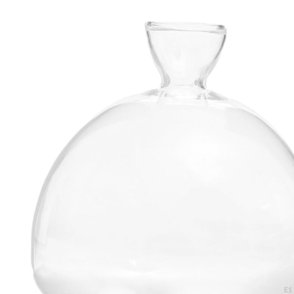 Ваза для начинающих из семян авокадо, прозрачное стекло, набор для выращивания деревьев авокадо в помещении