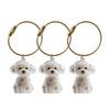 3Pcs Cat Hair Storage Box Keychain Transparent Acrylic Dog Hair Memorial Bottle Pet Hair Collector Container Key Ring Pet Owner Keepsake Gift