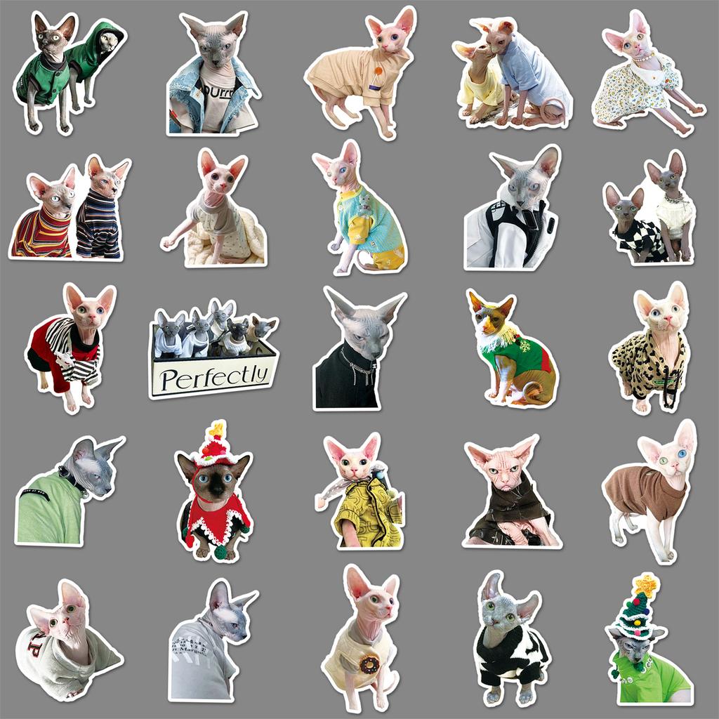 50 Дудл бесшерстной кошки Сфинкс Инс Фэнгука DIY Мобильный чехол Наклейки для чашки для воды Чемодана