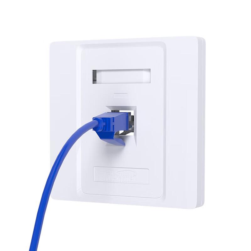 FiberHome Cat6/Cat5e Dual-Port Network Wall Plate