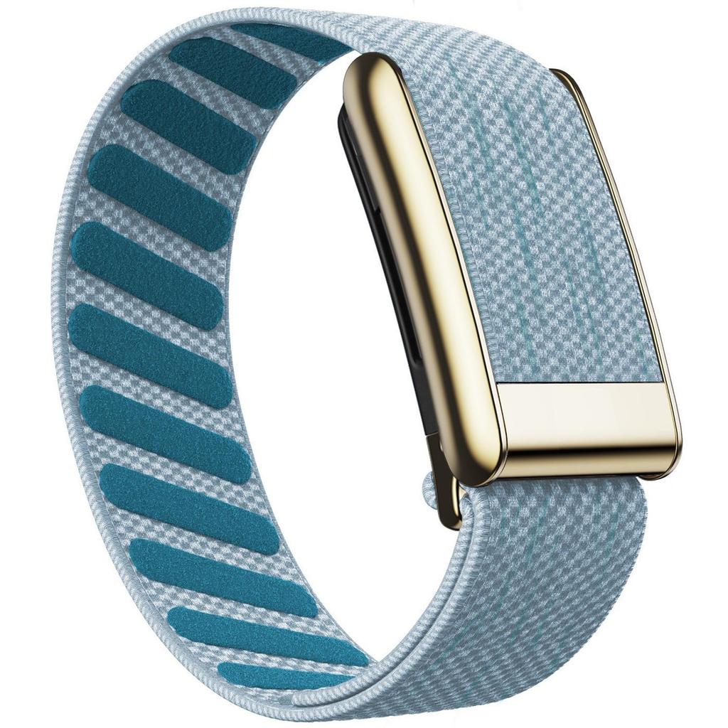 Whoop 5.0 Nylon Elastic Sport Band with Shiny Metal Frame (Gold/Silver)