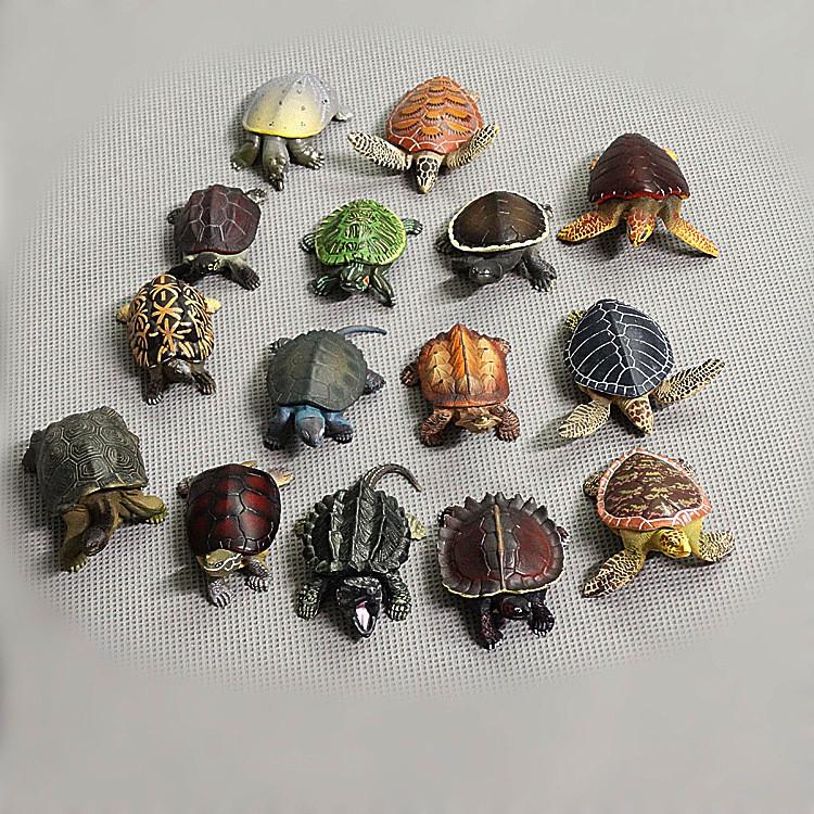 Pvc Ocean Animal Figure Green Sea Turtle Animal Model For Educational Display