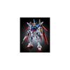 Bandai RG Destiny Gundam Titanium Finish 1/144 Scale Model Figure