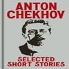 Anton Chekovs Selected Short Stories by Anton Chekhov Hardback Book 9781398840263