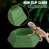 Maze design feeding bowl, water basin, increase the fun of hunting, multiple uses, suitable for reptiles, lizards, chameleons