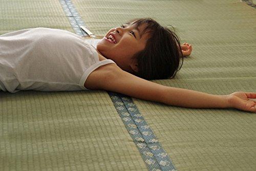 IKEHIKO Igusa Rug, Pine, Fits 6 Tatami Mats (Danchima), Approx. 255 X 340cm, Made In Japan, Double-Weave Carpet with Cypress Finish #1103216