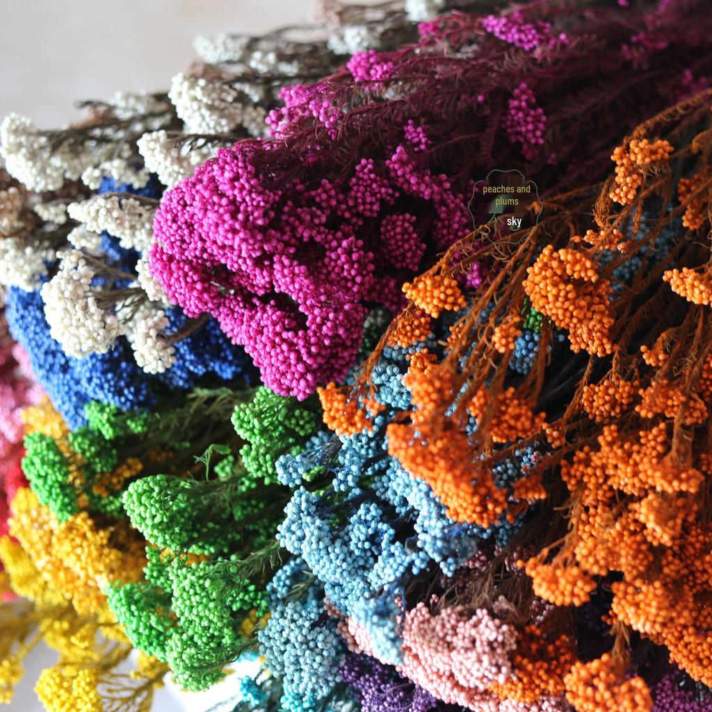 Colorful Preserved Millet Flower Bouquet for Creative DIY Flower Arrangements and Decorations
