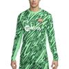 ФК Барселона 2024/25 Стадион Вратарская Мужская Nike Футбольная Реплика Лонгслив FN8809-329