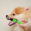 Зубная щетка для домашних животных Супер мягкая нежная зубная щетка для кошек Удобная щетка для чистки полости рта собаки на 360 градусов Товары для домашних животных