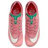 Nike Rival Sprint Красный Звездная пыль Стадионный зеленый Университетский красный Бледно-слоновая кость HQ2061-600