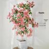 Large Bougainvillea Climbing Plant with Flowers - Indoor/Outdoor Greenery for Balcony and Courtyard