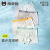 Boys' Ice Silk Underwear