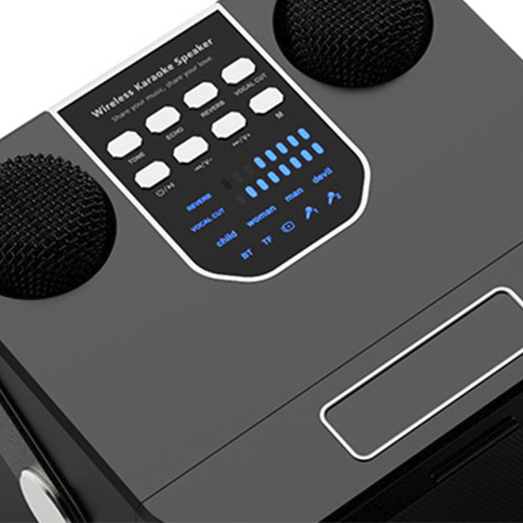 Беспроводной Bluetooth-динамик с двумя микрофонами, портативный динамик для караоке, домашний кинотеатр