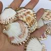 Marine Style Scallop Shell Pendant Charms for DIY Creative Craft Gifts - Perfect Jewelry Necklaces Accessories for Beach Lovers Ocean Enthusiasts