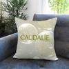 POPULAR CCaudalie-EE Cushion Cover Comfortable Reversible Pillow Cover Ideal for Car Sofa Bedroom & Beyond