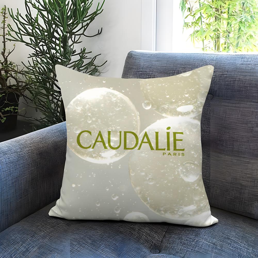 POPULAR CCaudalie-EE Cushion Cover Comfortable Reversible Pillow Cover Ideal for Car Sofa Bedroom & Beyond