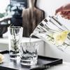 Стеклянный кувшин для холодной воды VAKADA