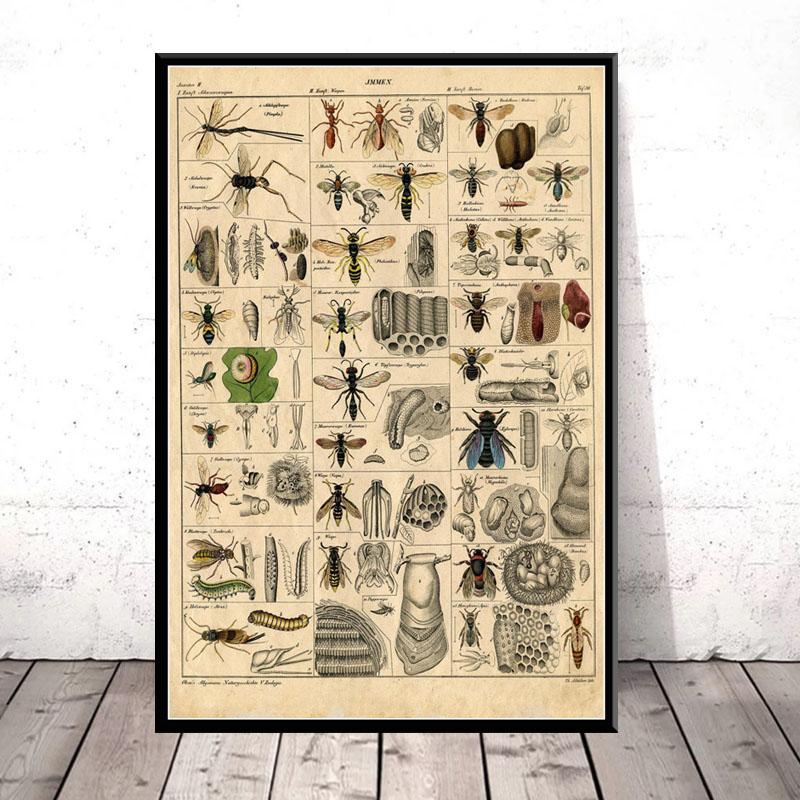 Винтажный стиль плакаты бабочка насекомое холст картины постеры и принты настенная художественная картина для гостиной домашний декор Cuadros