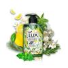 Антибактериальное мыло для рук Lux Fragrance